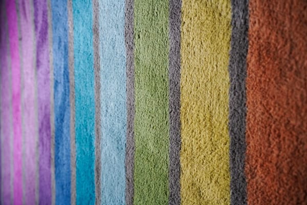 Day 4 Lazy around the house